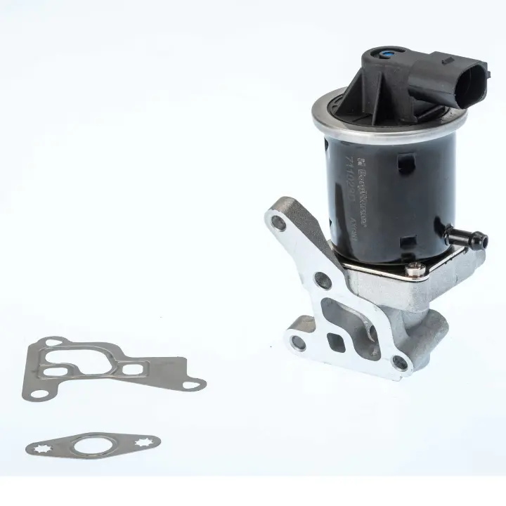 VW клапан EGR Polo 1.0/1.4 -01,Lupo 1.0 -05 BORGWARNER 711028D (фото 1)