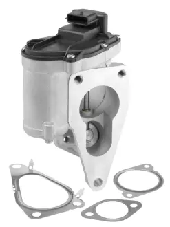 RENAULT клапан EGR Megane II 1.9dCi 05-,Laguna II BORGWARNER 712018D