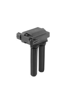 Катушка (модуль) зажигания borgWarner ZS607