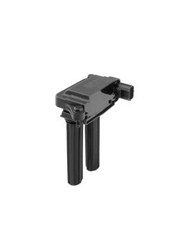 Катушка (модуль) зажигания borgWarner ZS607