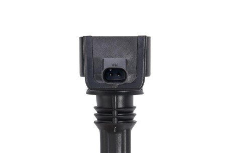 Котушка (модуль) запалювання borgWarner ZS604