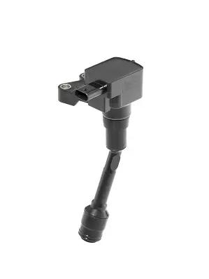BERU FORD Катушка зажигания B-Max,C-Max II,Fiesta,Focus III,Mondeo V,Transit Connect 1.0 EcoBoost 12- BORGWARNER ZSE215
