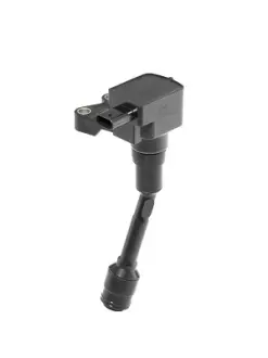 BERU FORD Катушка зажигания B-Max,C-Max II,Fiesta,Focus III,Mondeo V,Transit Connect 1.0 EcoBoost 12- BORGWARNER ZSE215 Форд Б-макс