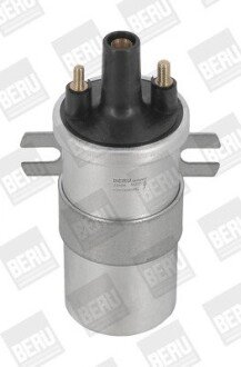 Котушка (модуль) запалювання borgWarner ZS566