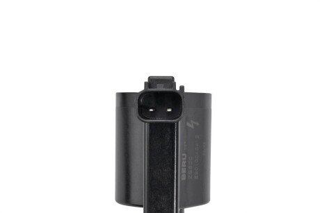 Катушка (модуль) зажигания borgWarner ZS600