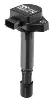 Котушка (модуль) запалювання borgWarner ZSE170