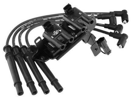 Котушка (модуль) запалювання borgWarner ZS483