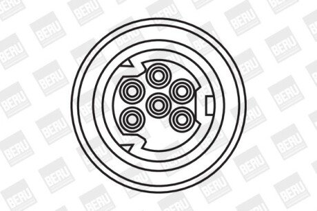 Котушка (модуль) запалювання borgWarner ZS307