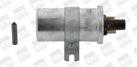 Катушка (модуль) зажигания borgWarner ZS570