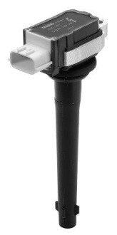 Катушка (модуль) зажигания borgWarner ZSE161