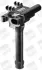 BERU ROVER Катушка зажигания 25,45,75,LandRover Freelander 1.8 98- BORGWARNER ZS501