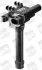 BERU ROVER Катушка зажигания 25,45,75,LandRover Freelander 1.8 98- BORGWARNER ZS501