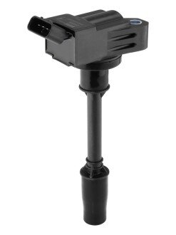 Катушка (модуль) зажигания borgWarner ZSE298