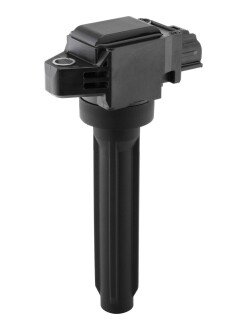 Катушка (модуль) зажигания borgWarner ZSE319