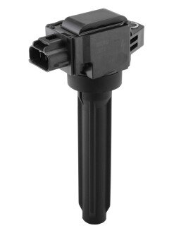 Катушка (модуль) зажигания borgWarner ZSE319