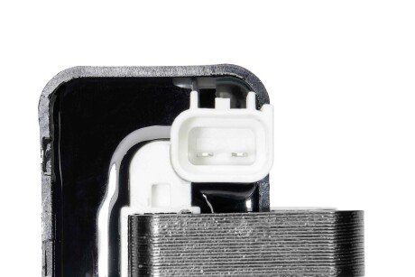 Катушка (модуль) зажигания borgWarner ZS581