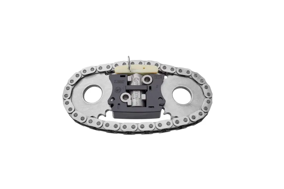 BorgWarner (Morse) FIAT к-кт. ланцюга DUCATO 2.3D 06- BORGWARNER 59007150000 (фото 1)