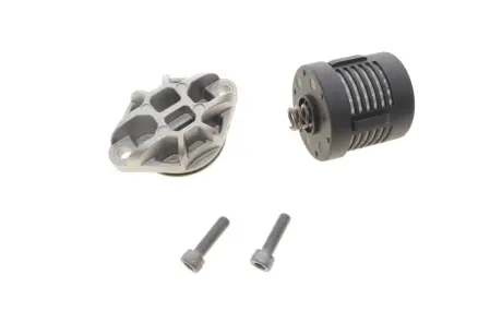Масляний фільтр BORGWARNER DS120356