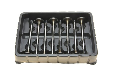 К-кт клапанів(ОЕ) 8*8 04E109601B+04E109611J borsehung B10322