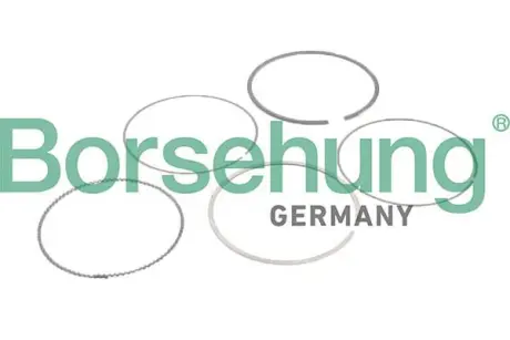 Комплект поршневих кілець Borsehung B10373