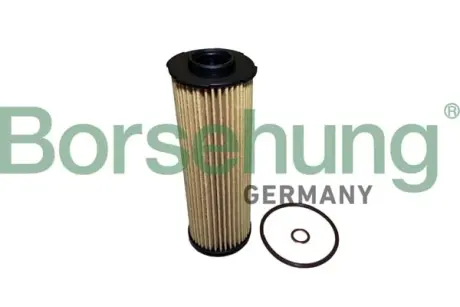 Масляний фільтр Borsehung B10438