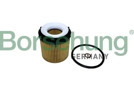 Масляний фільтр Borsehung B10441