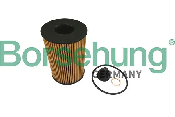 Масляный фильтр borsehung B10461