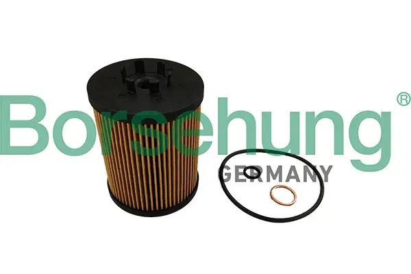 Масляный фильтр borsehung B10464