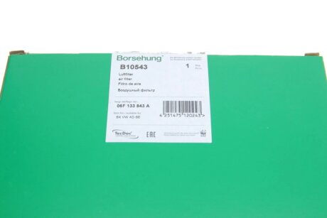Фiльтр повiтряний OE borsehung B10543