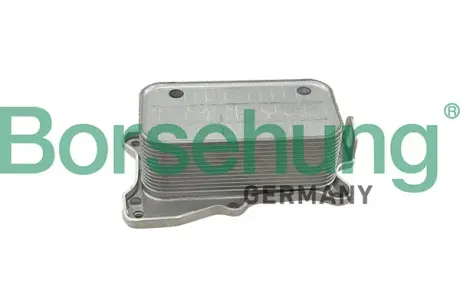 Корпус оливного фільтра Borsehung B10887