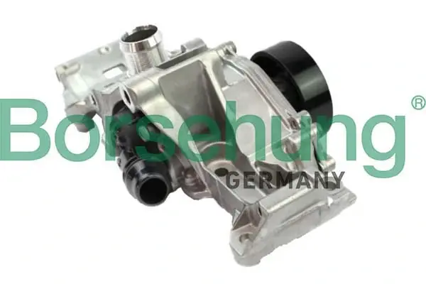 Water pump Borsehung B11216 (фото 1)