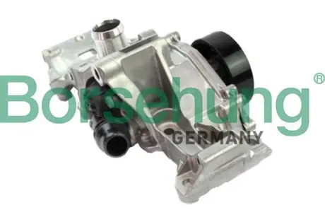 Water pump borsehung B11216
