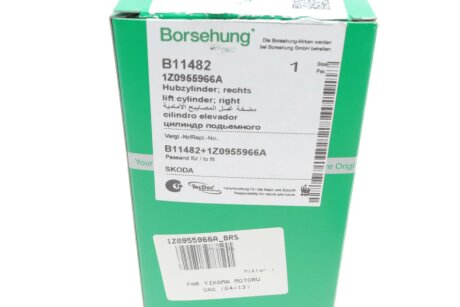 Розпилювач води, система очистки фар borsehung B11482