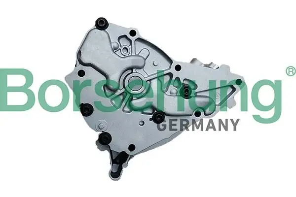 Насос оливний borsehung B11902