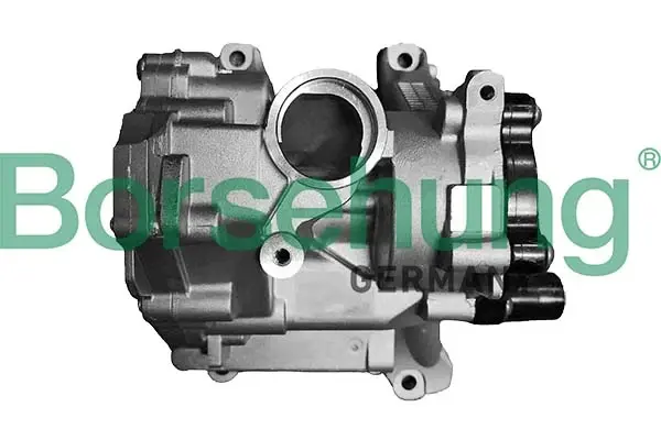 Насос оливи borsehung B11903
