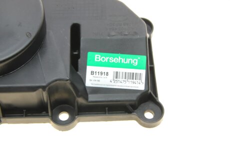 Сепаратор масляний borsehung B11918
