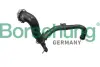 Шланг подачі наддувального повітря Borsehung B12353 (фото 1)