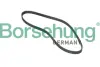 Пас поліклиновий 4PK855S borsehung B12381
