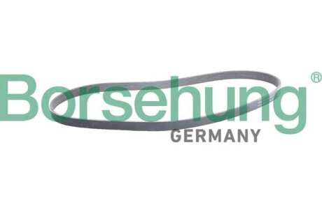 Пас поліклиновий 6PK1100S borsehung B12387