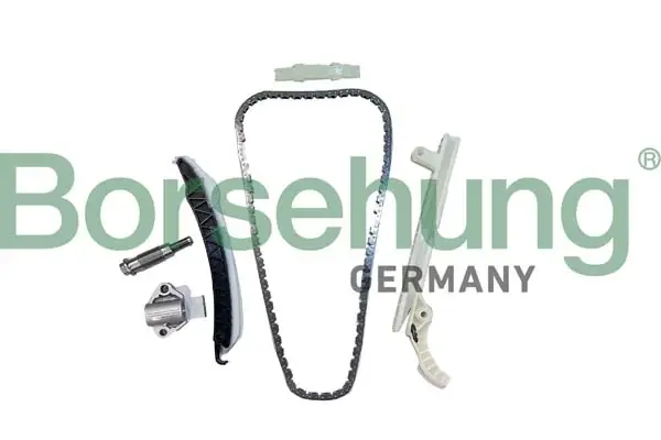 Комплект ланцюга ГРМ borsehung B12556