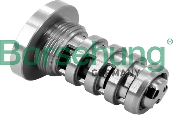 Клапан контролю масла для VVT borsehung B12694