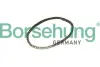 Ланцюг ГРМ borsehung B12768