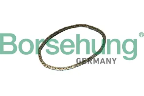 Ланцюг ГРМ borsehung B12768