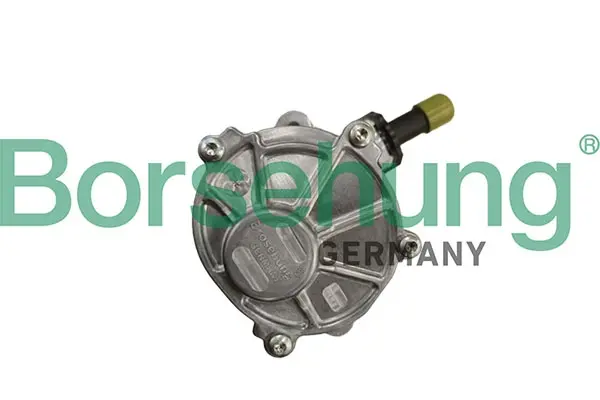 Brake vacuum pump Borsehung B12901 (фото 1)