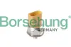 Датчик тиску палива borsehung B12934