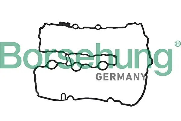 Ущільнення, кришка голівки циліндра borsehung B12966