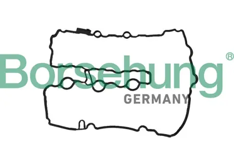 Ущільнення, кришка голівки циліндра Borsehung B12966
