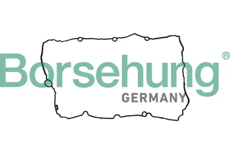 Ущільнення, кришка голівки циліндра Borsehung B12968