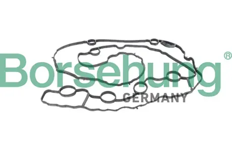 Ущільнення, кришка голівки циліндра Borsehung B12969
