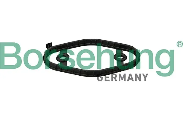 Ущільнення, кришка голівки циліндра borsehung B12975